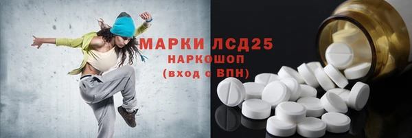ПСИЛОЦИБИНОВЫЕ ГРИБЫ Верея