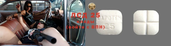 ПСИЛОЦИБИНОВЫЕ ГРИБЫ Верея