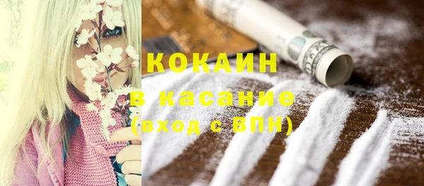 ПСИЛОЦИБИНОВЫЕ ГРИБЫ Верея
